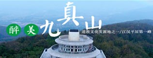 大吊日韩逼区