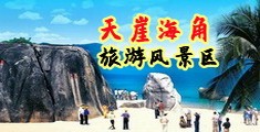 www.鸡吧操逼网站海南三亚-天崖海角旅游风景区